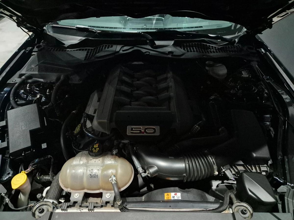 Aperçu indisponible de Ford Mustang