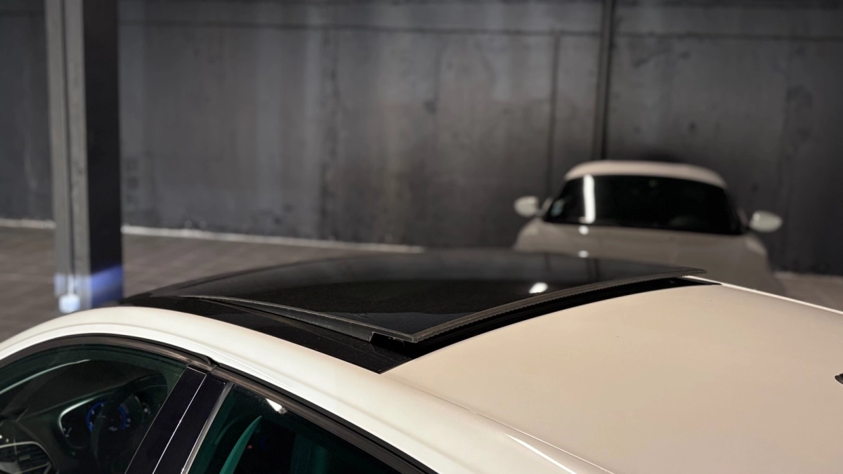 Renault Megane - photo 11