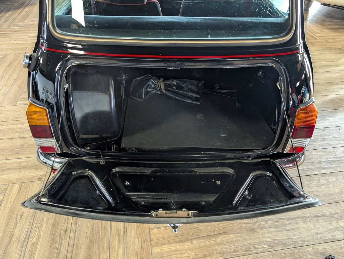 Mini Mini 1000 - photo 19