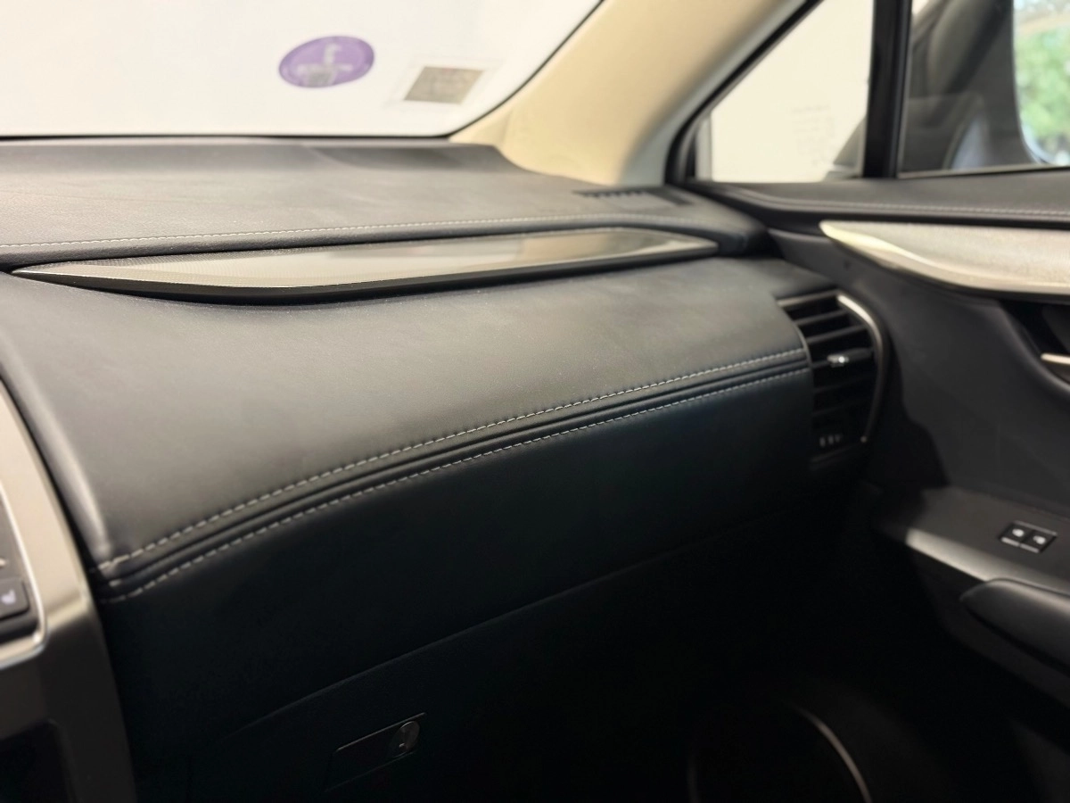 Lexus Nx - photo 24