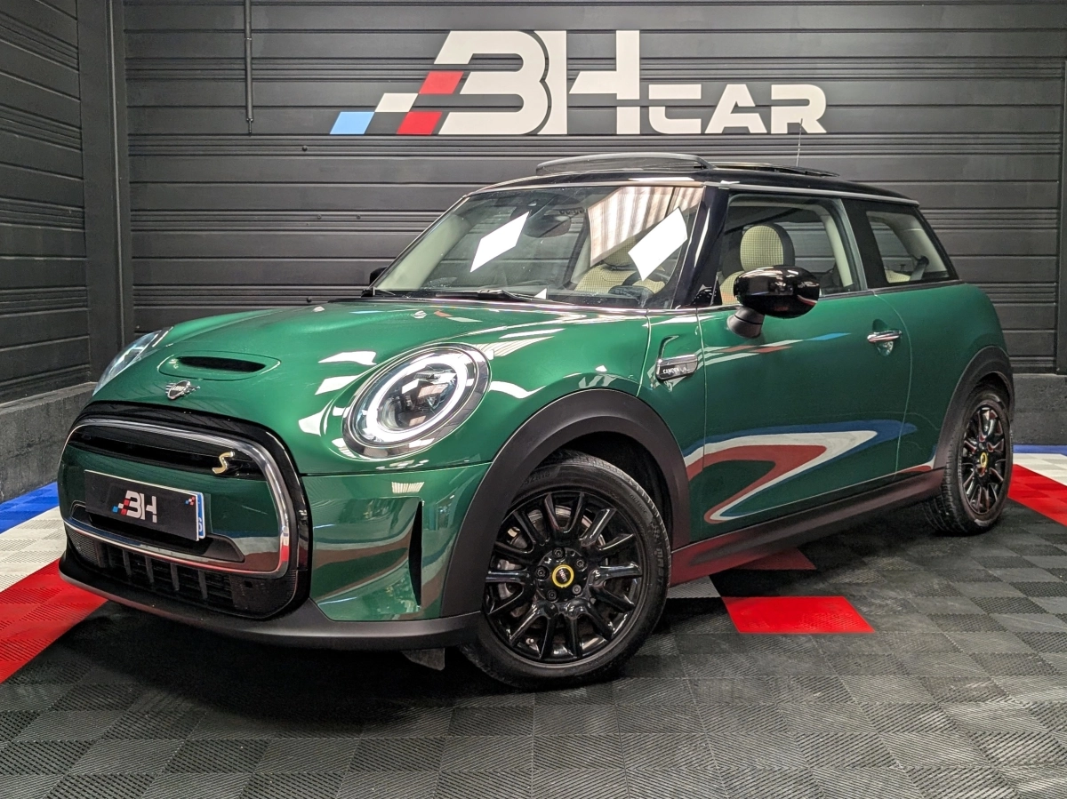 Mini Mini Electric