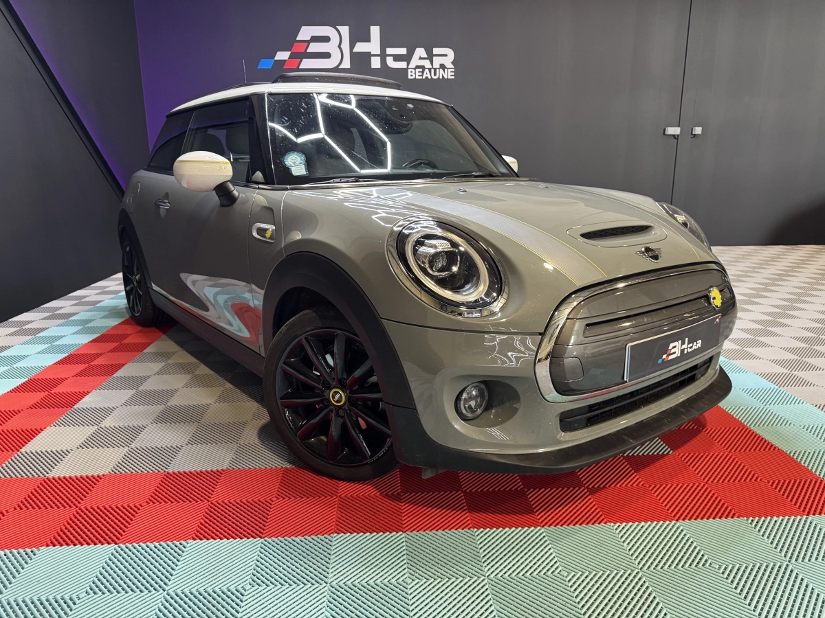 Mini Mini Electric