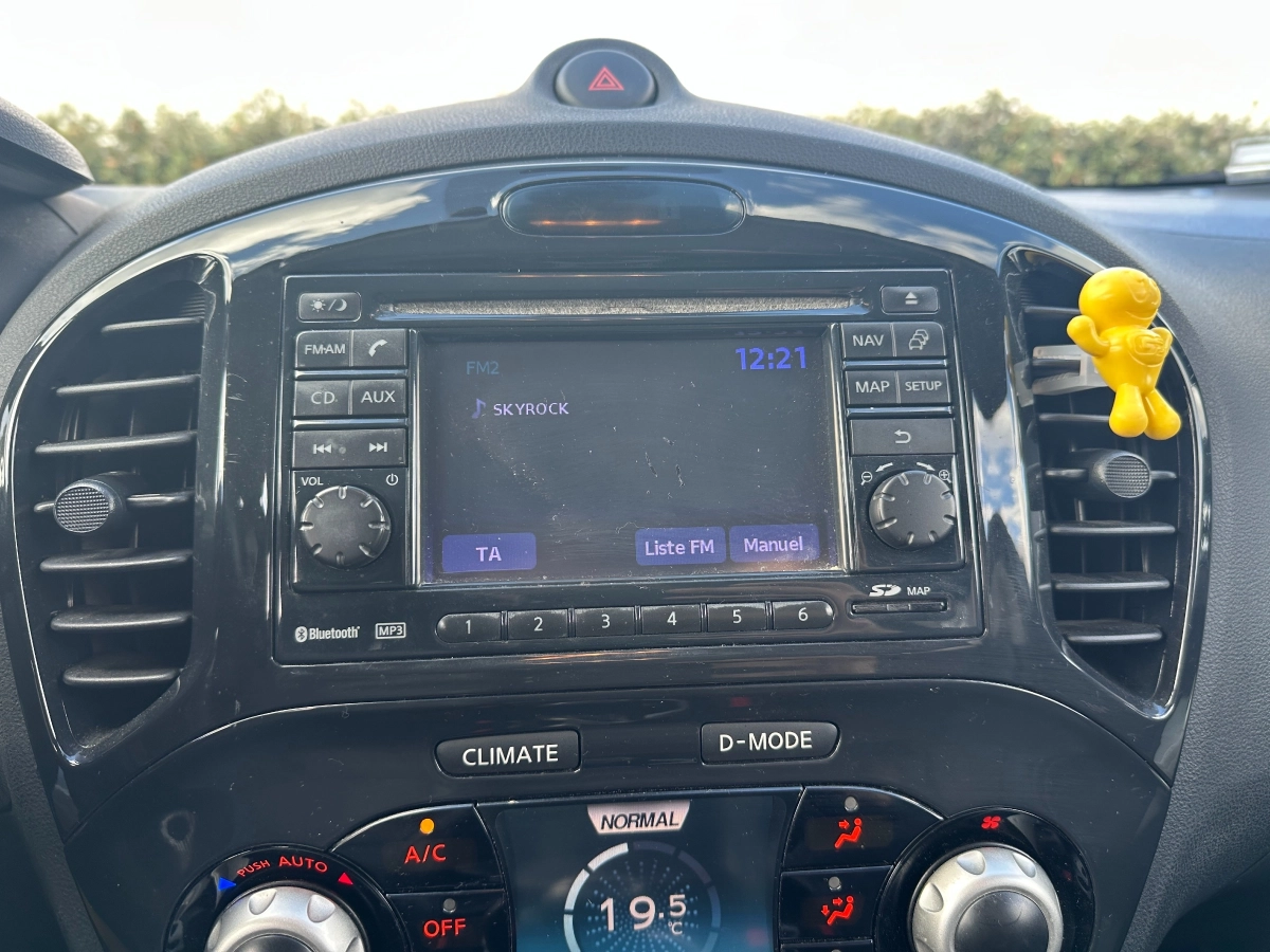 Nissan Juke - photo 20