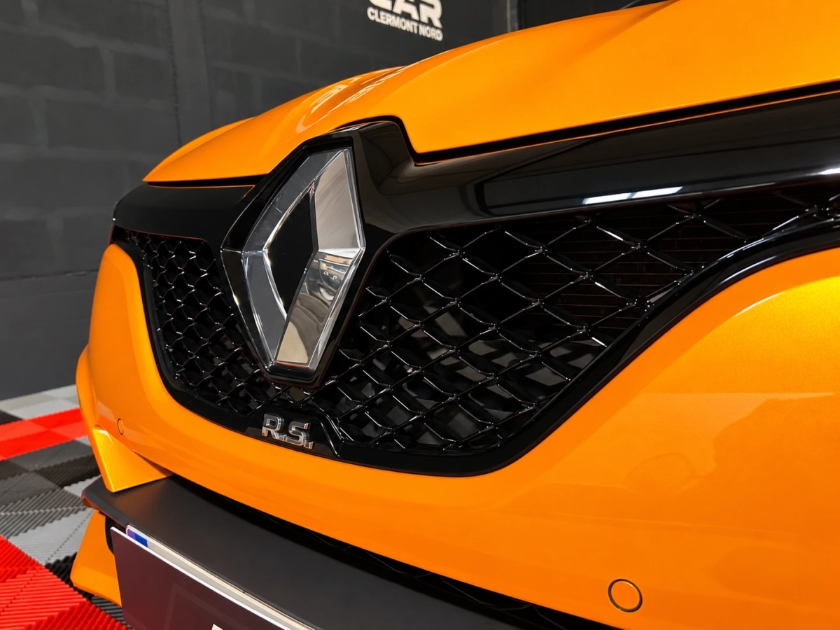 Renault Megane - photo 18