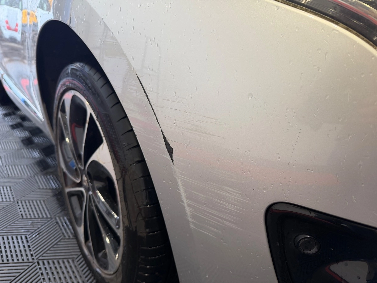 Renault Megane - photo 31