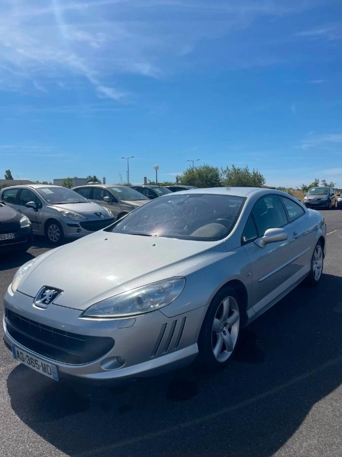 Peugeot 407
