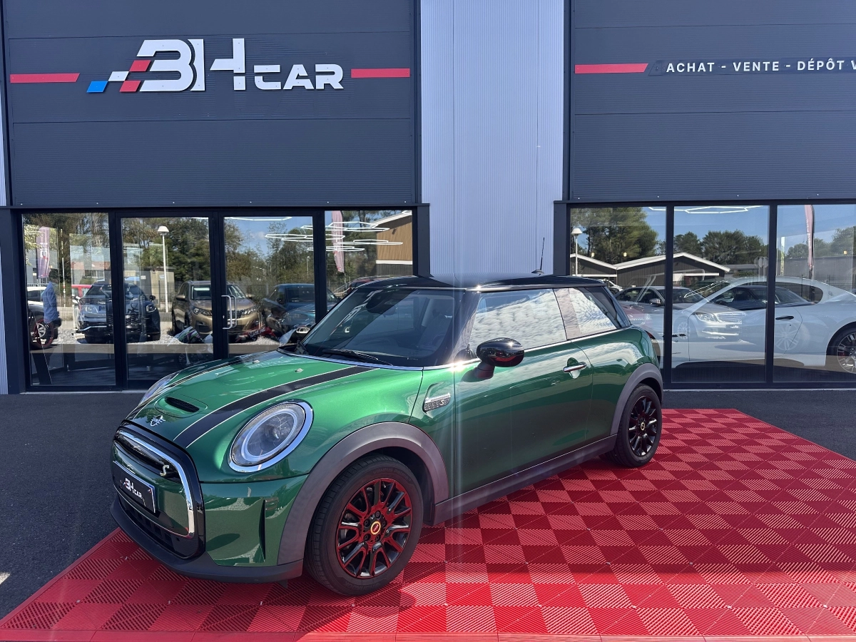 Mini Mini Electric