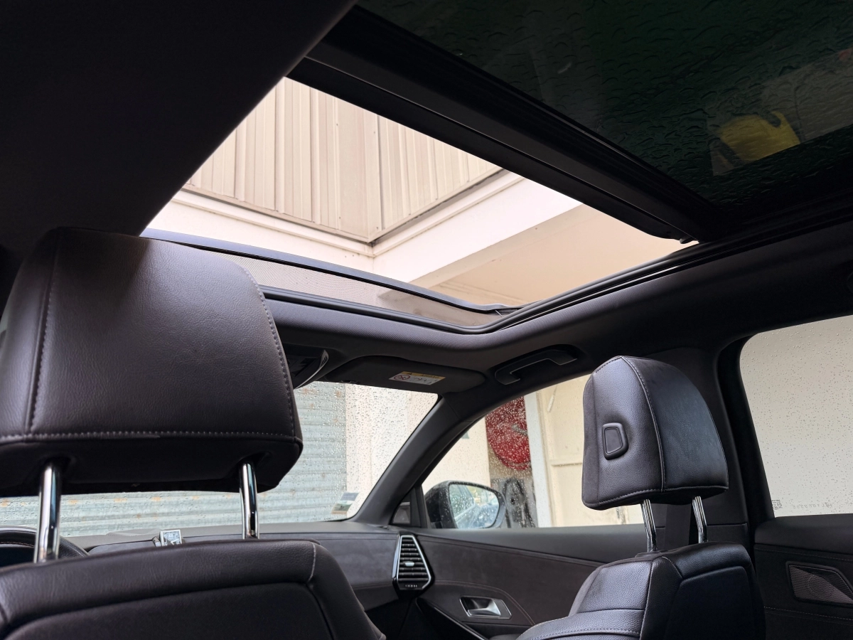 Ds Automobiles Ds 7 Crossback E-tense - photo 29