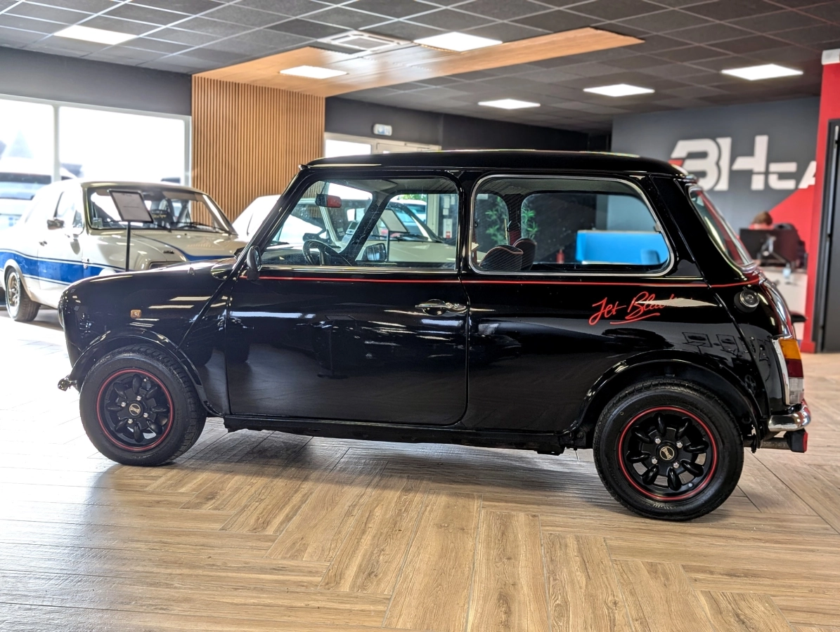 Mini Mini 1000 - photo 11