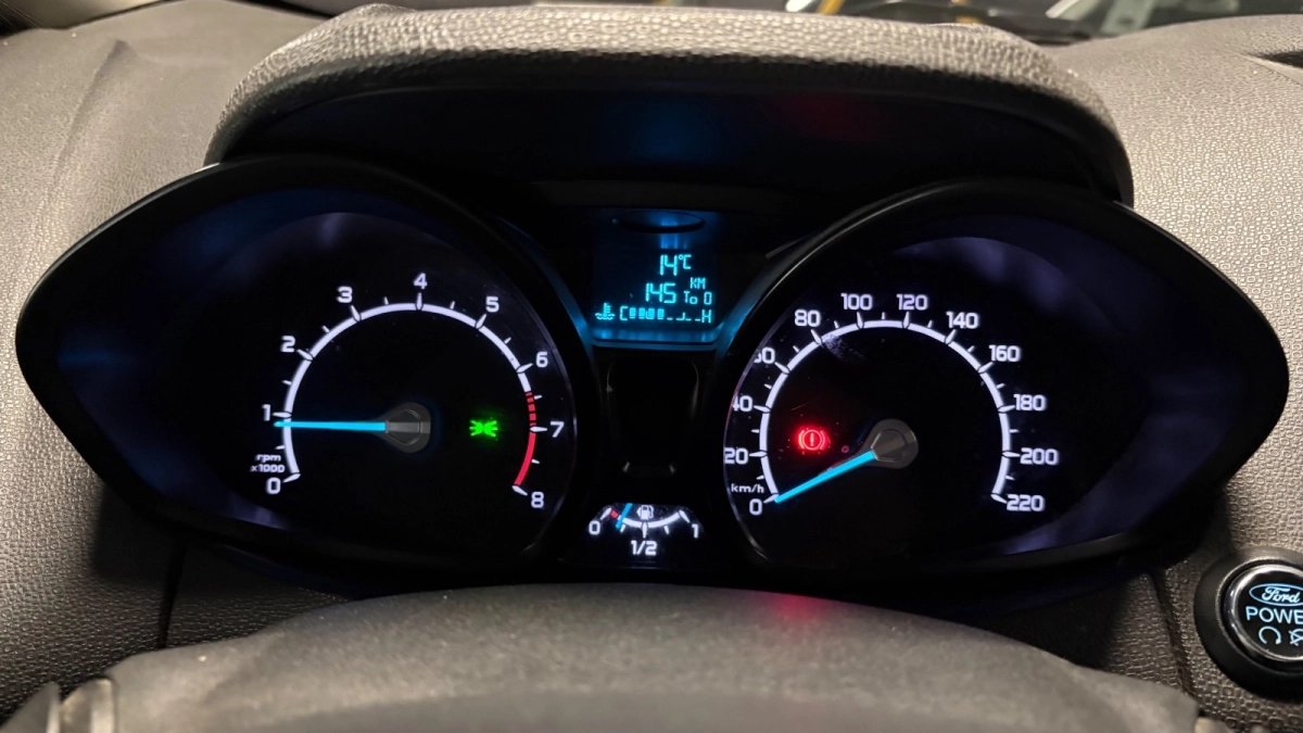 Ford Ecosport - photo 22