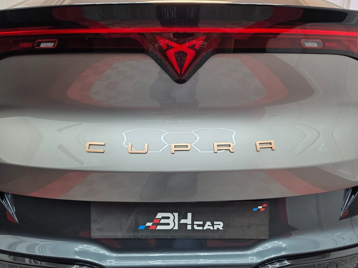 Cupra Tavascan - photo 28