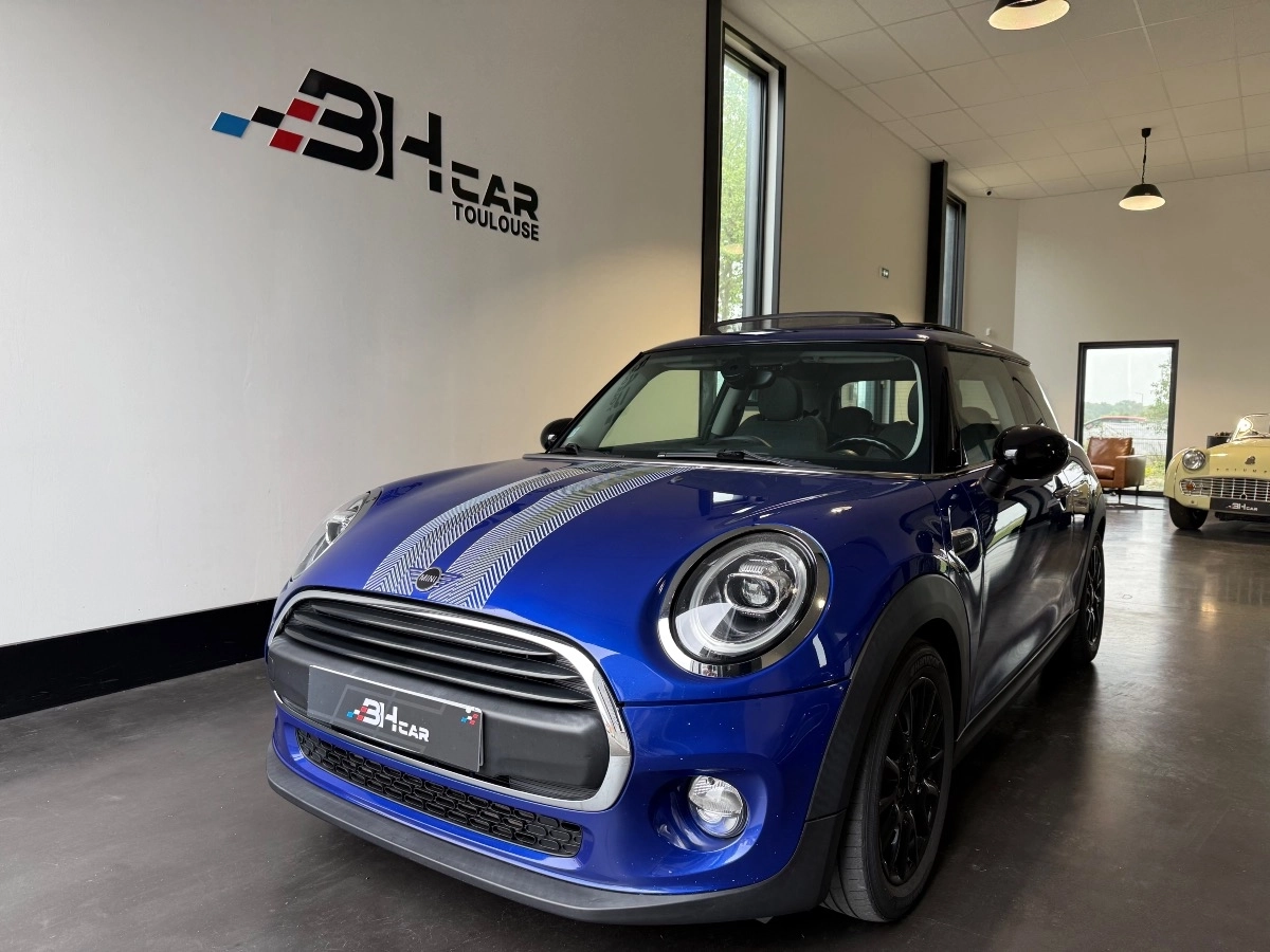 Mini Mini