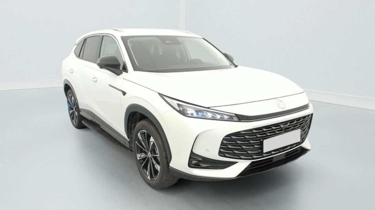 Mg Ehs
