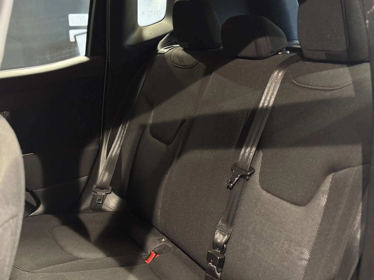 Jeep Renegade - photo 27