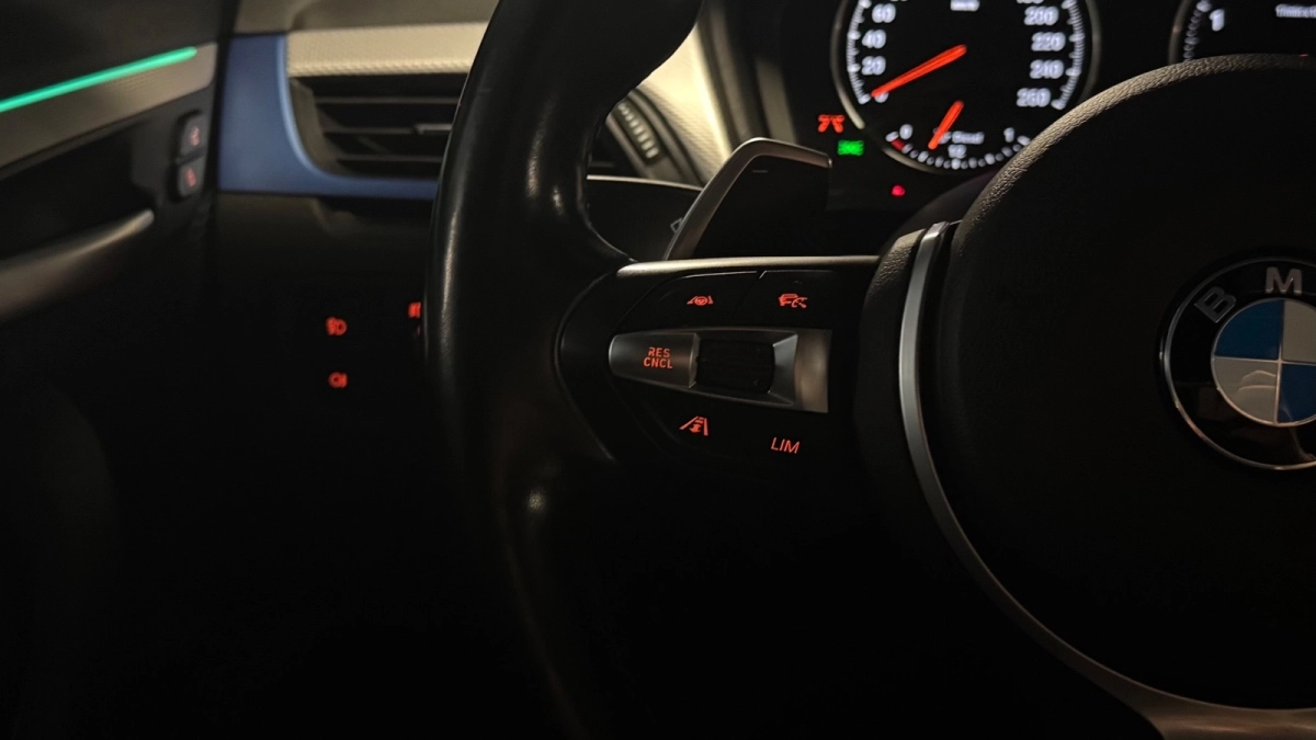 Bmw X2 - photo 22