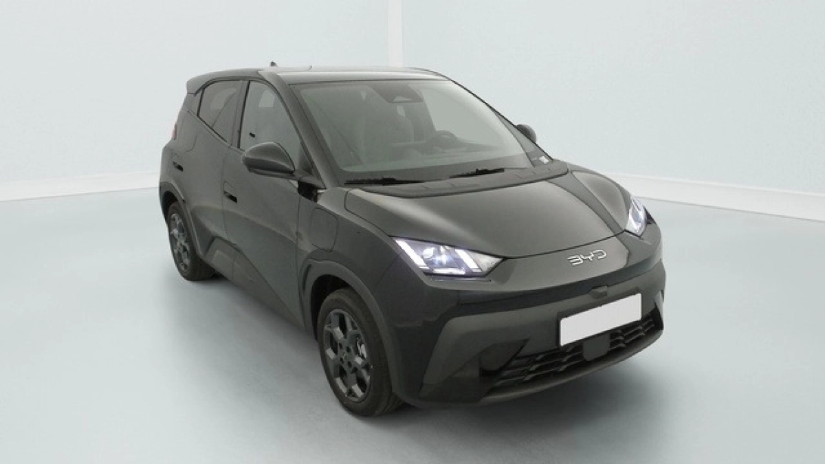 Byd Dolphin