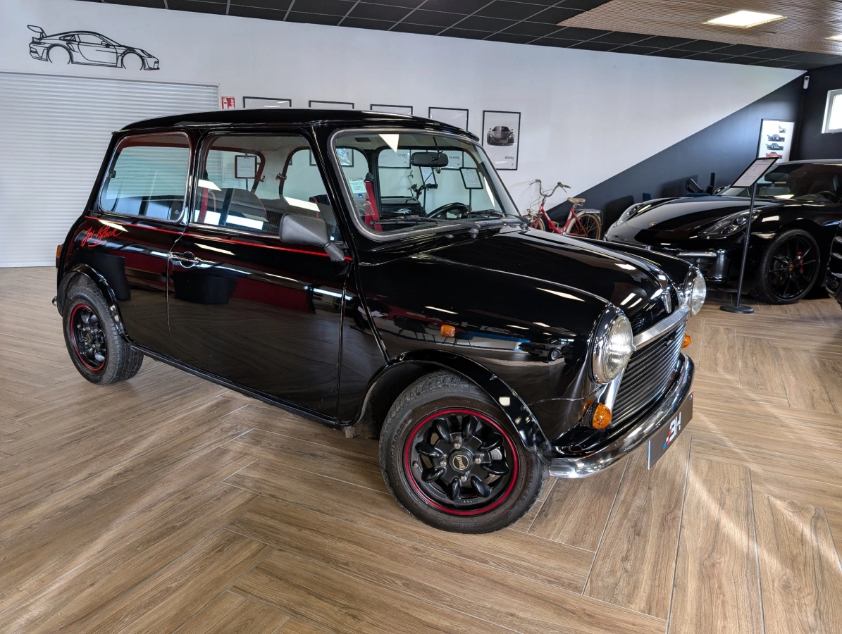 Mini Mini 1000 - photo 5