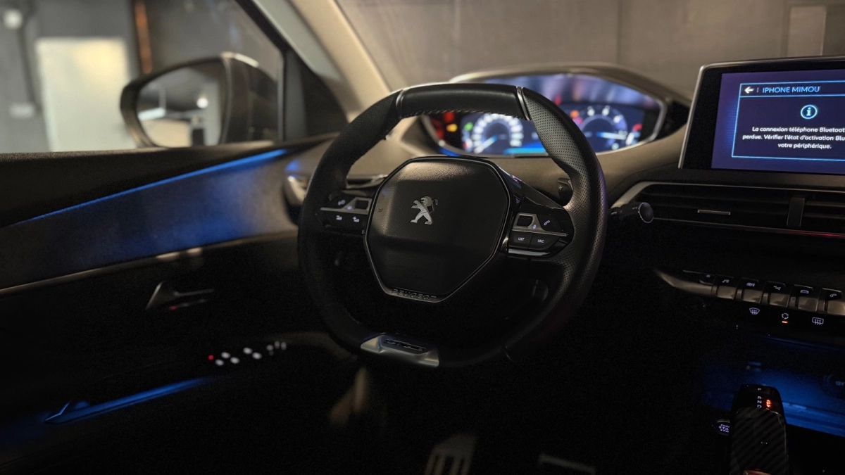 Peugeot 3008 - photo 20