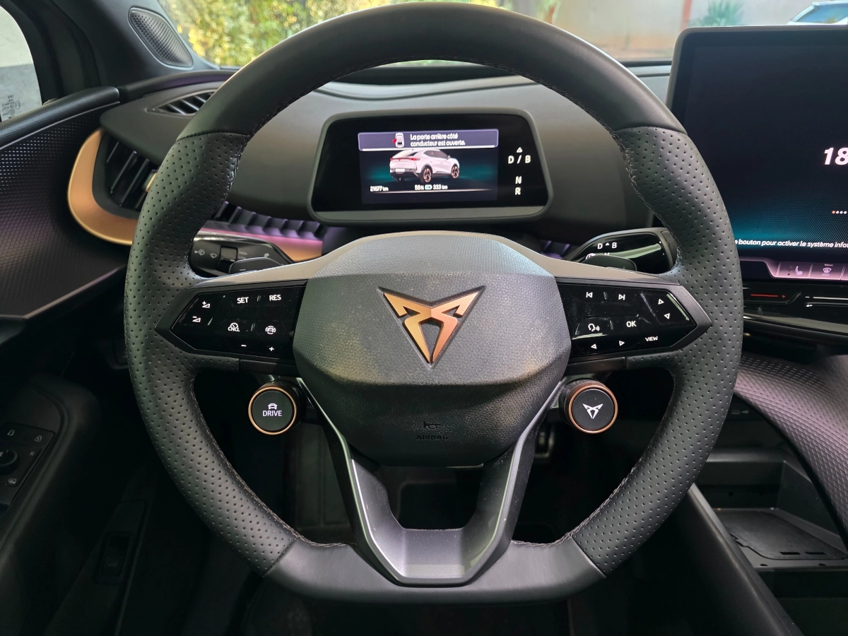 Cupra Tavascan - photo 10