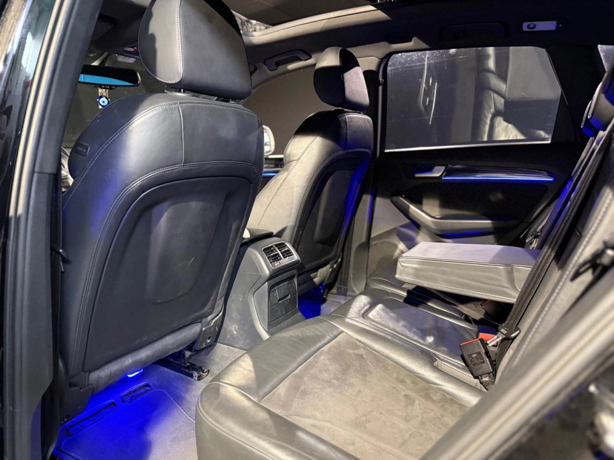 Audi Sq5 - photo 18