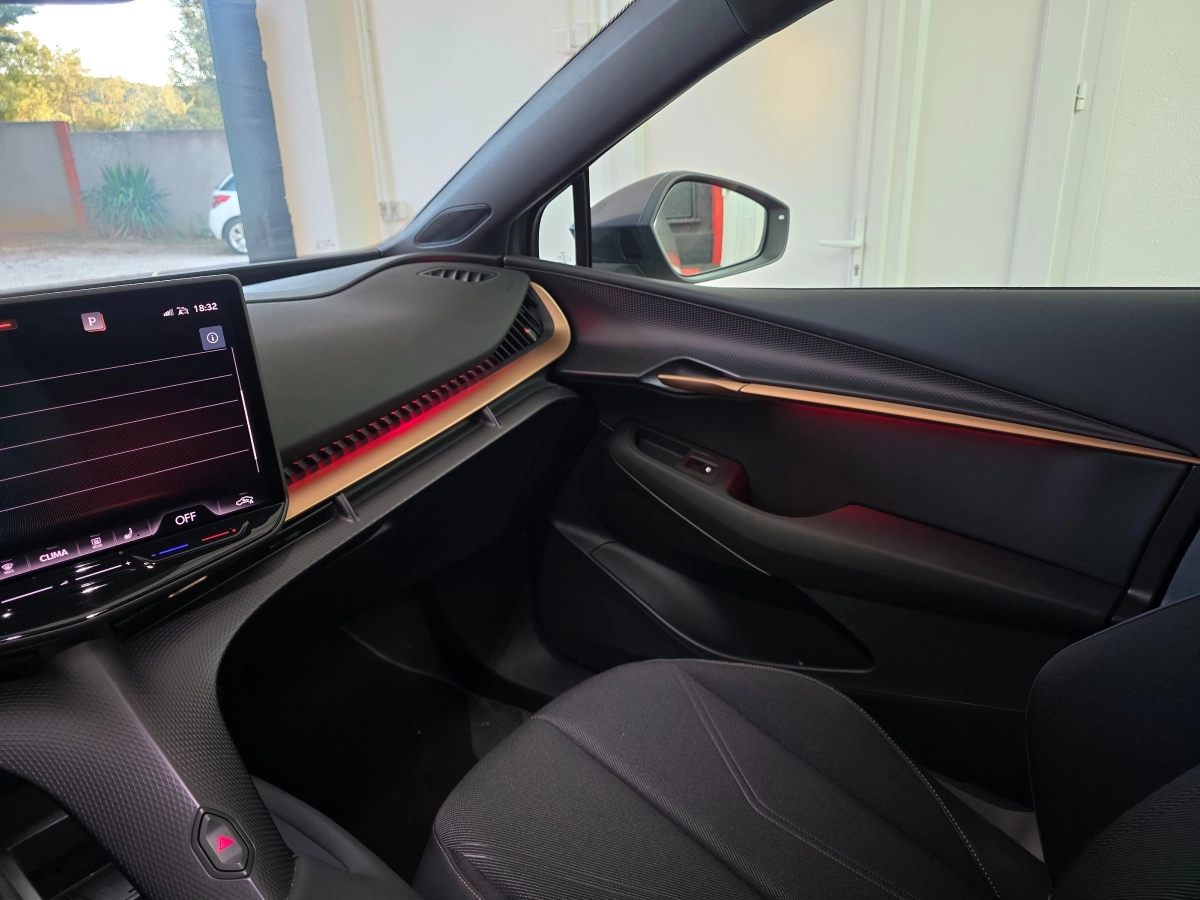 Cupra Tavascan - photo 26