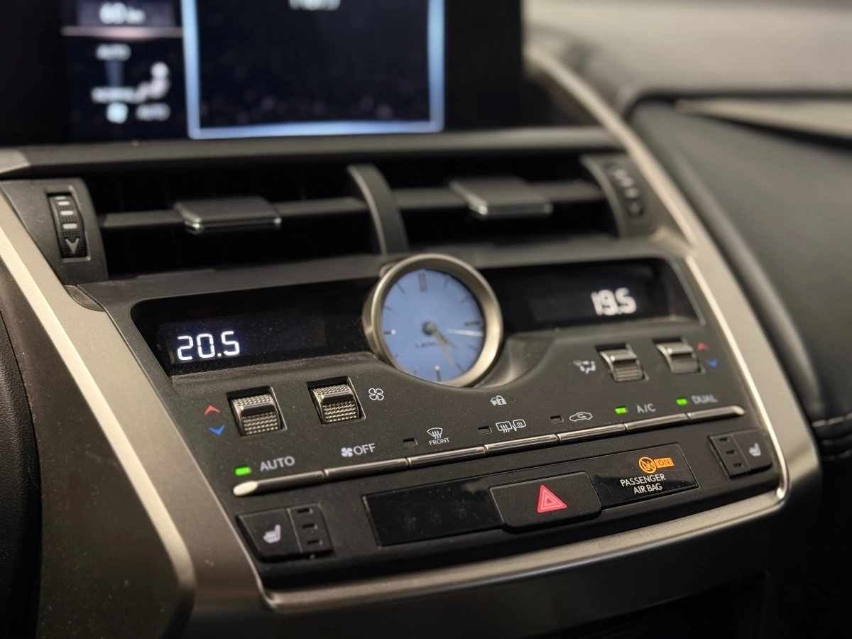 Lexus Nx - photo 21