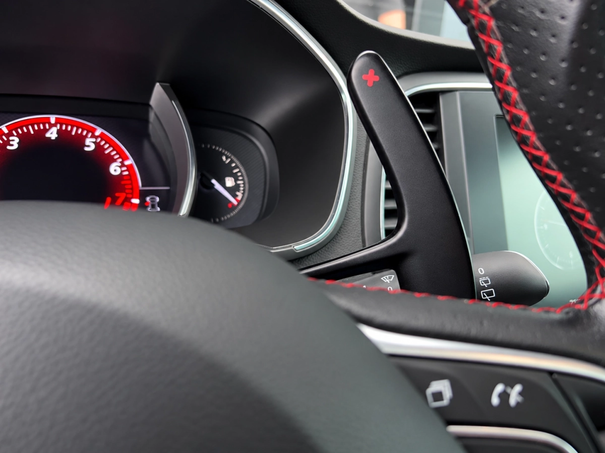 Renault Megane - photo 25
