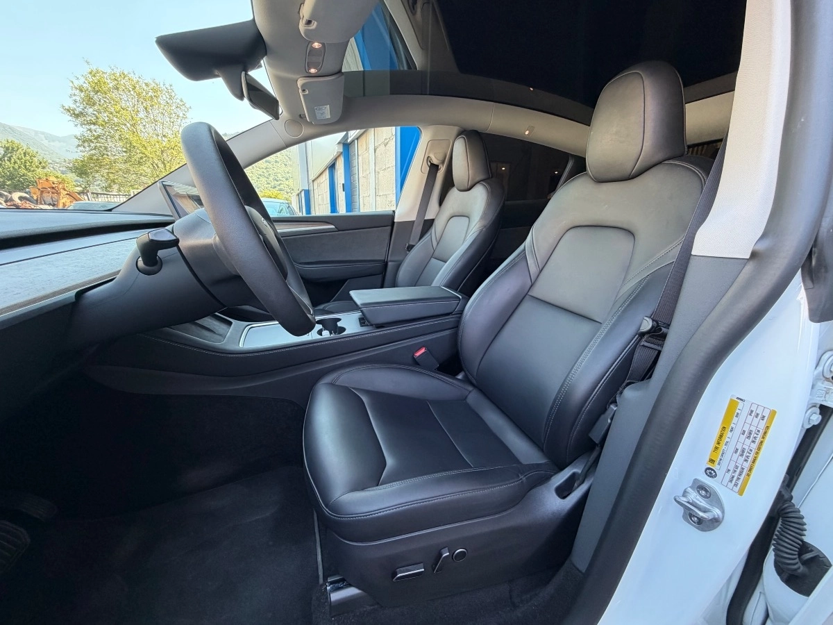 Tesla Model-y - photo 8