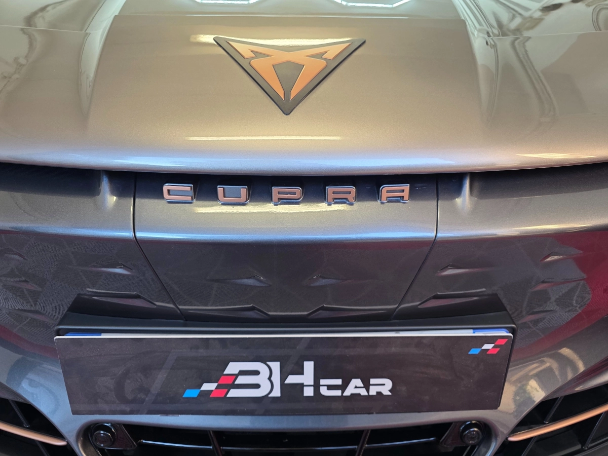 Cupra Tavascan - photo 27