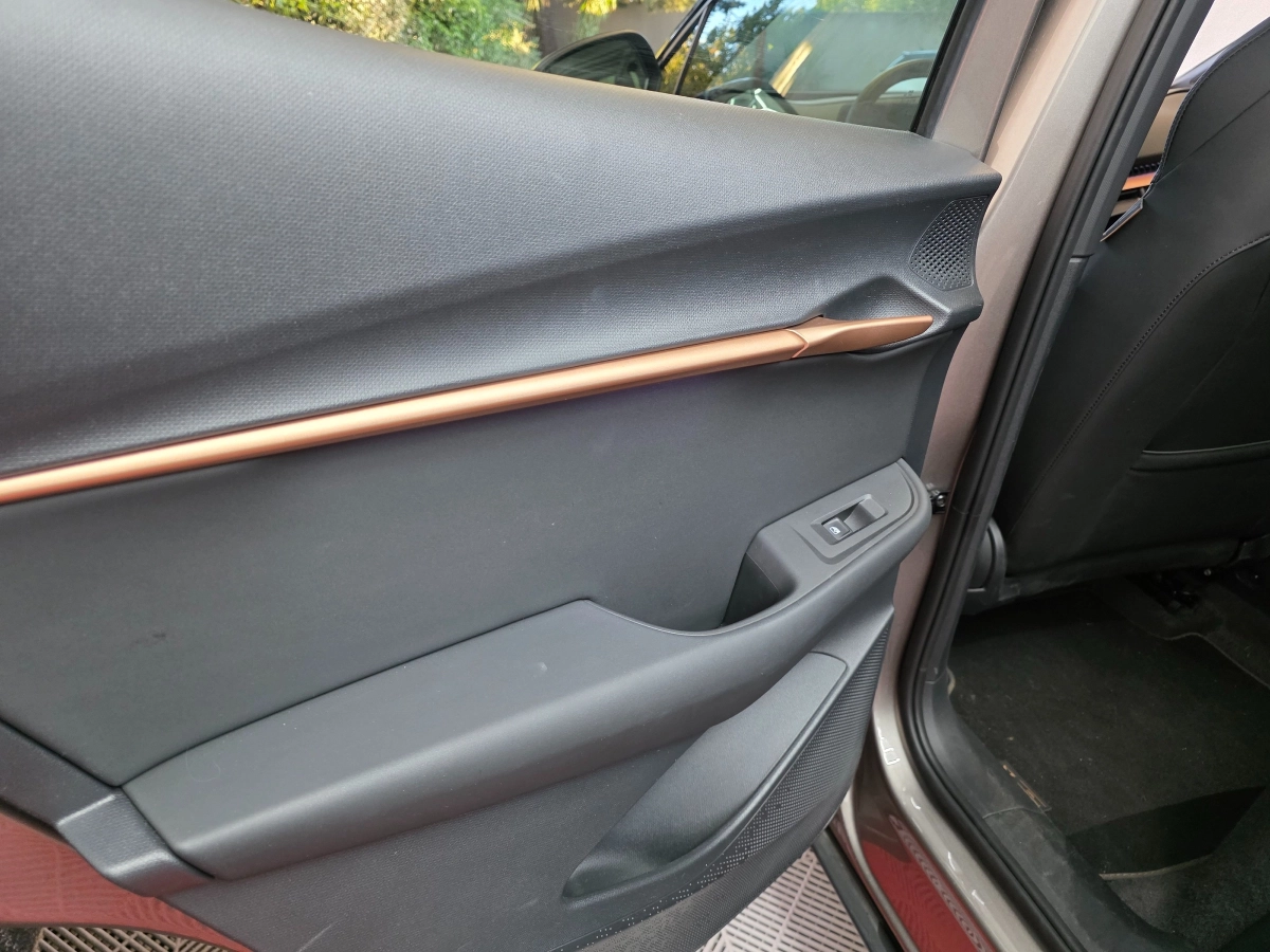 Cupra Tavascan - photo 15