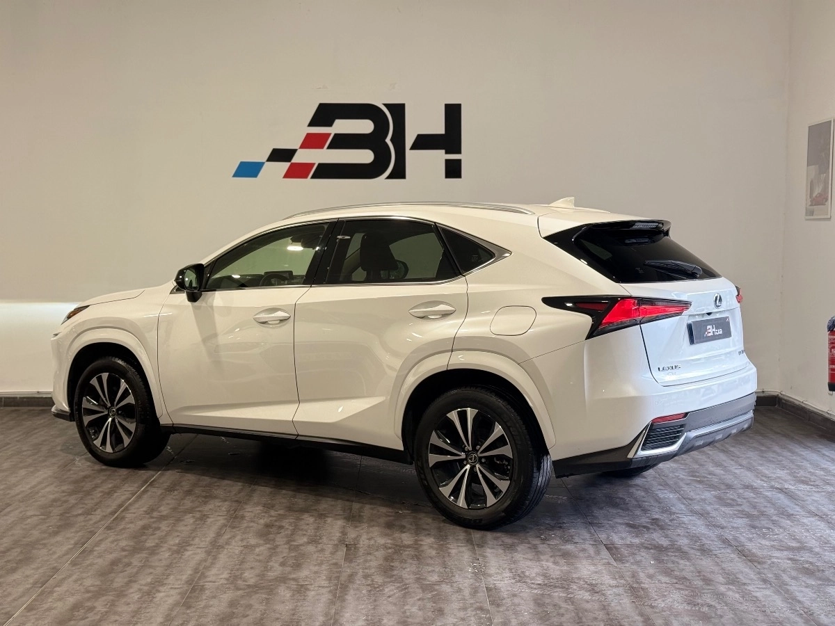 Lexus Nx - photo 6