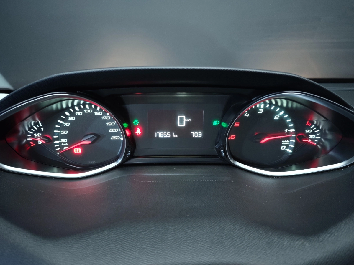 Peugeot 308 - photo 15