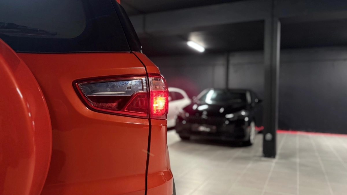 Ford Ecosport - photo 10