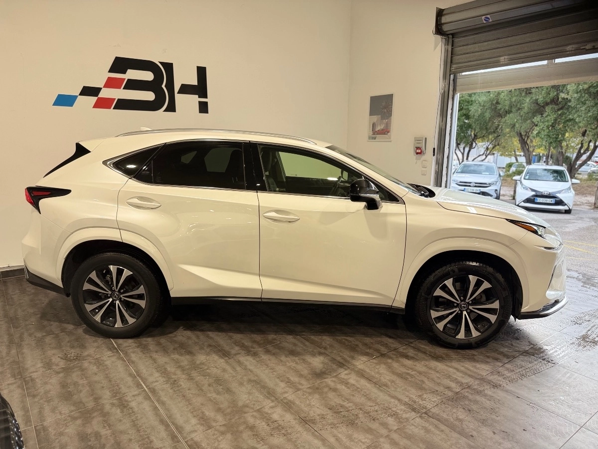 Lexus Nx - photo 10