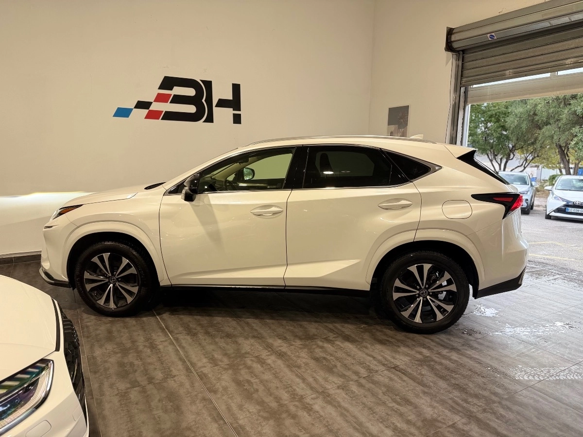 Lexus Nx - photo 5