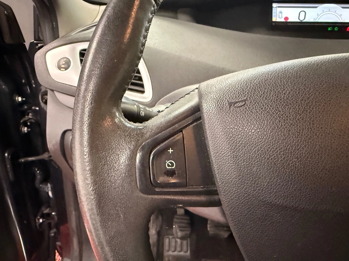 Renault Scenic - photo 15