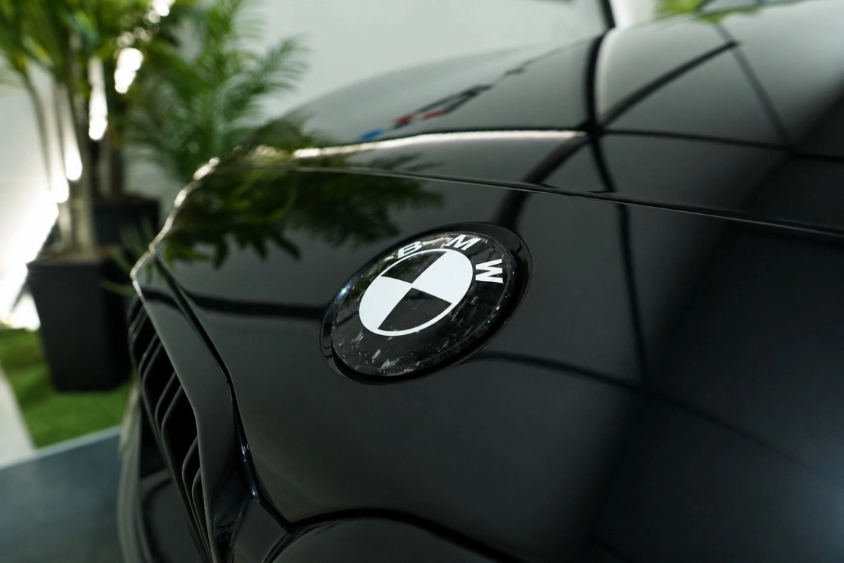 Bmw M2 - photo 19