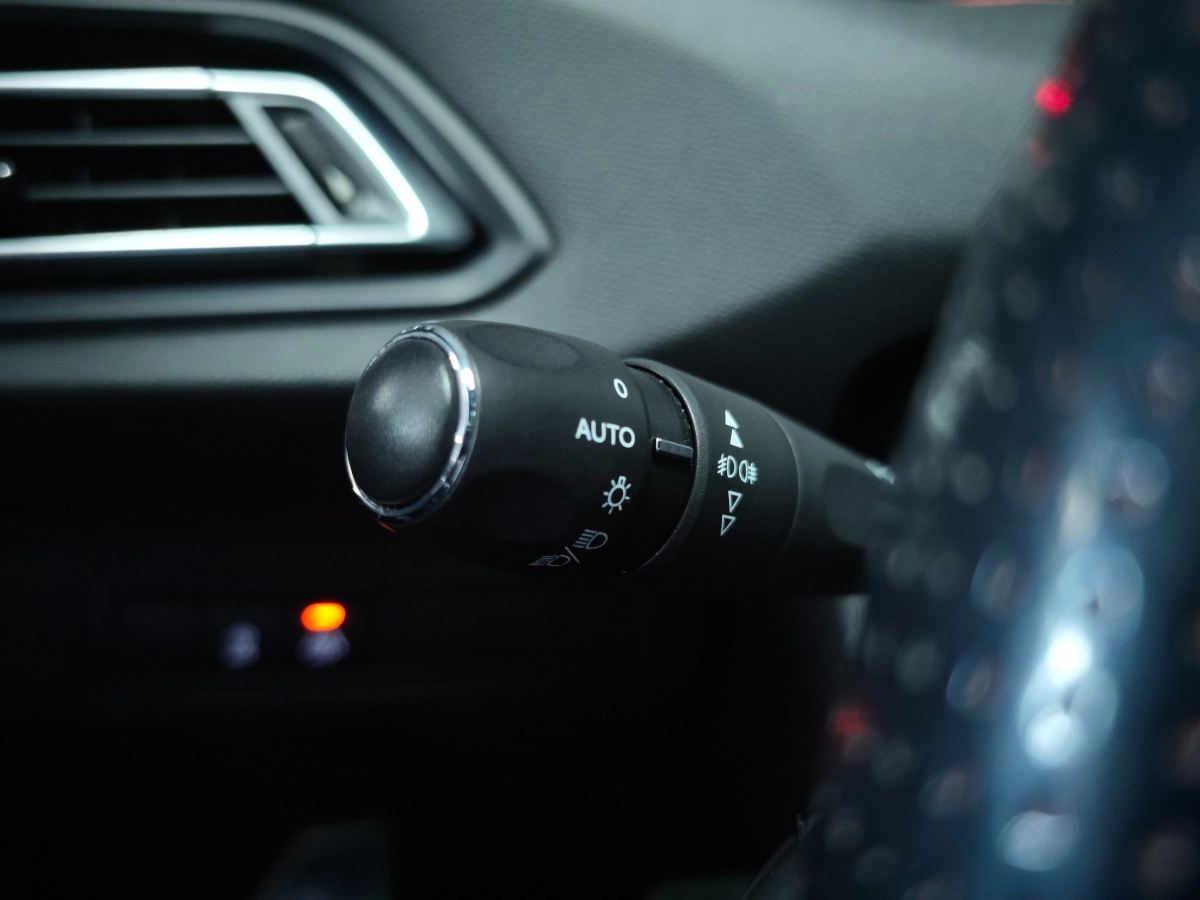 Peugeot 308 - photo 18