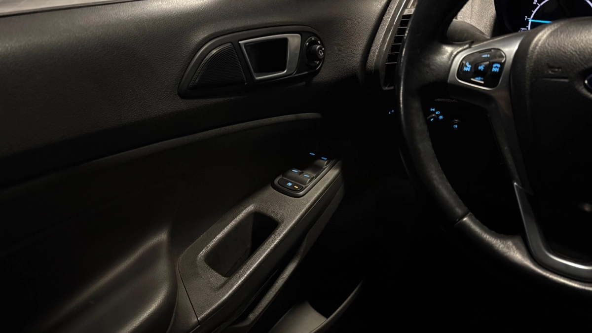 Ford Ecosport - photo 26