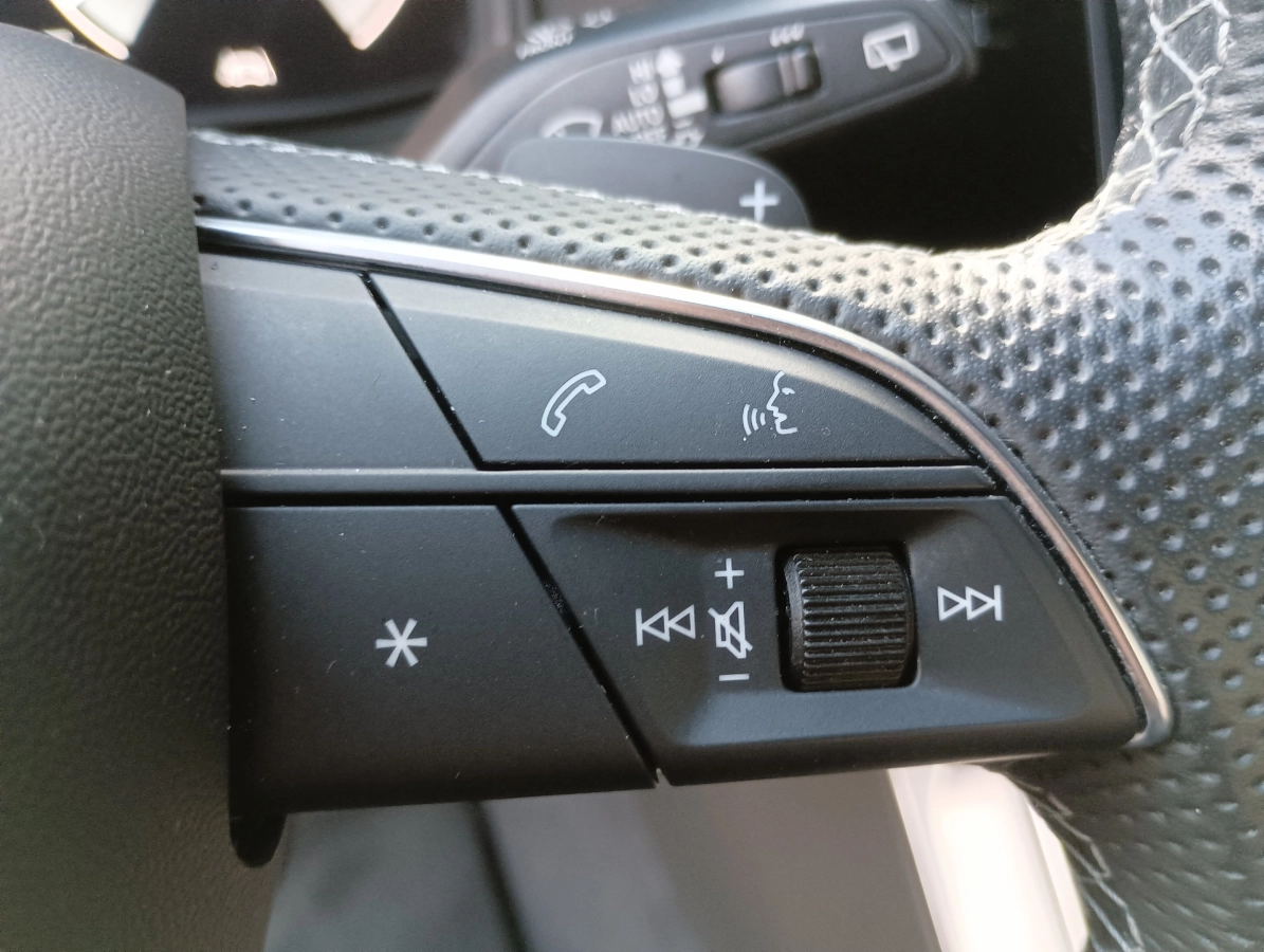 Audi Q8 - photo 25