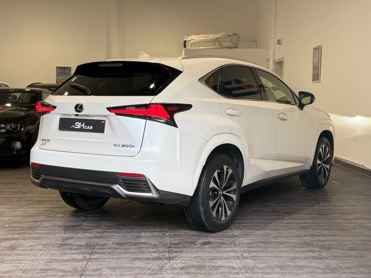 Lexus Nx - photo 9