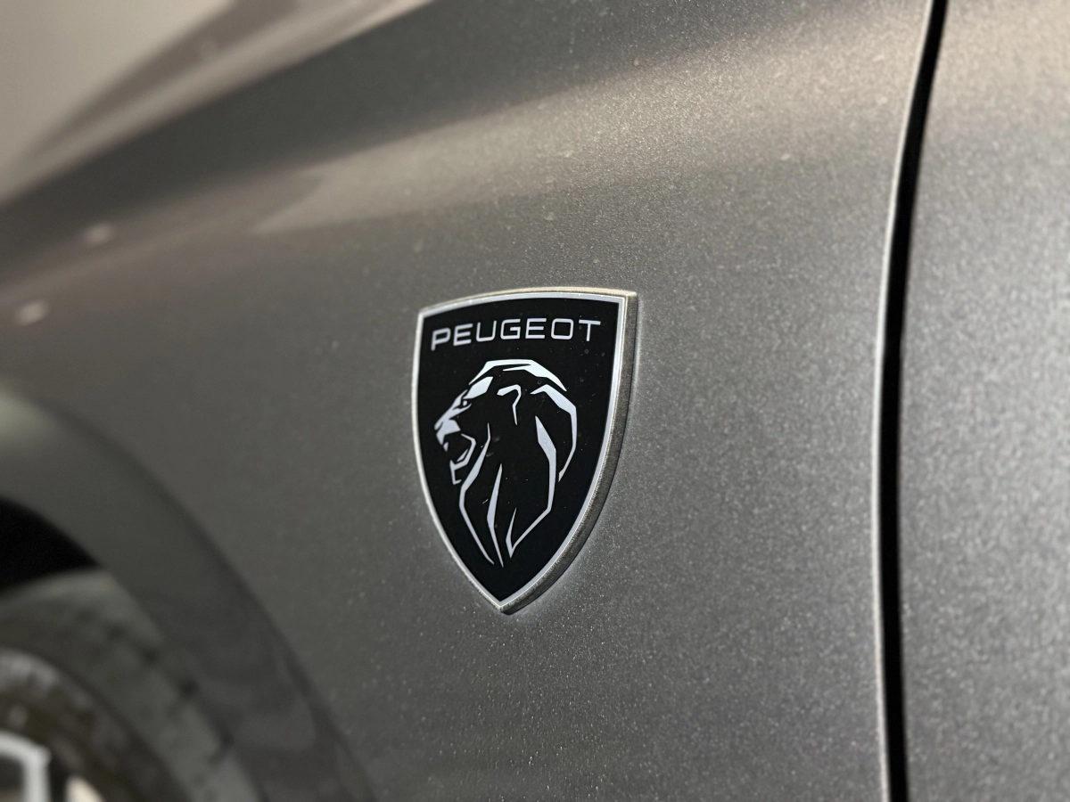 Peugeot 308 - photo 24
