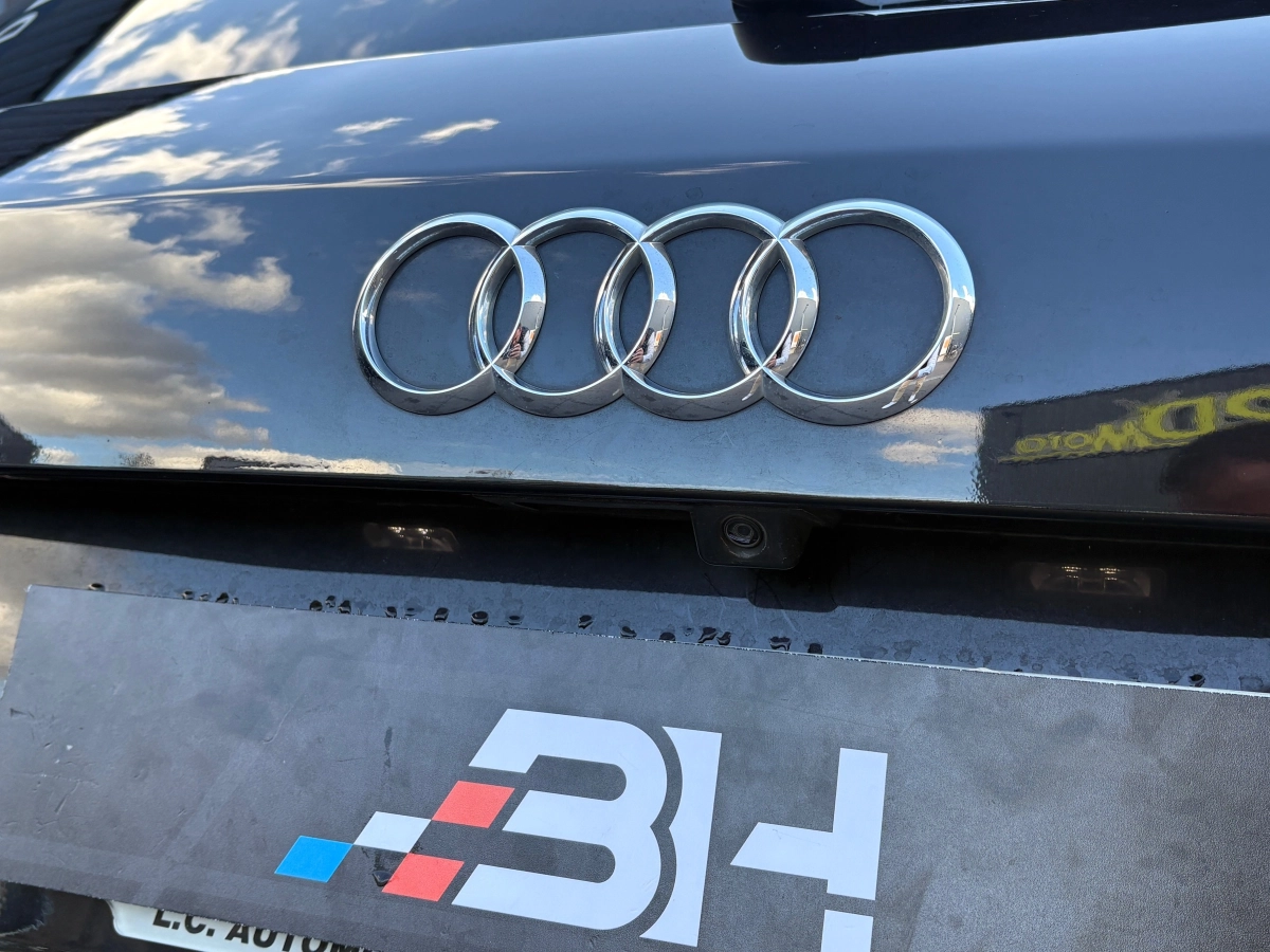 Audi Sq5 - photo 11