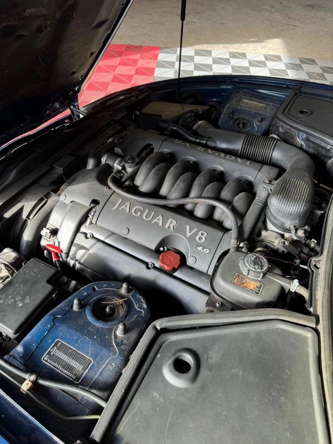 Aperçu indisponible de Jaguar XK8