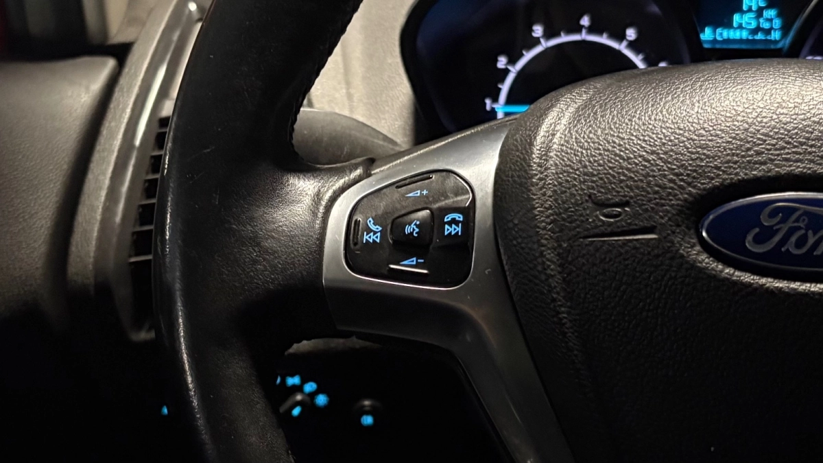 Ford Ecosport - photo 20