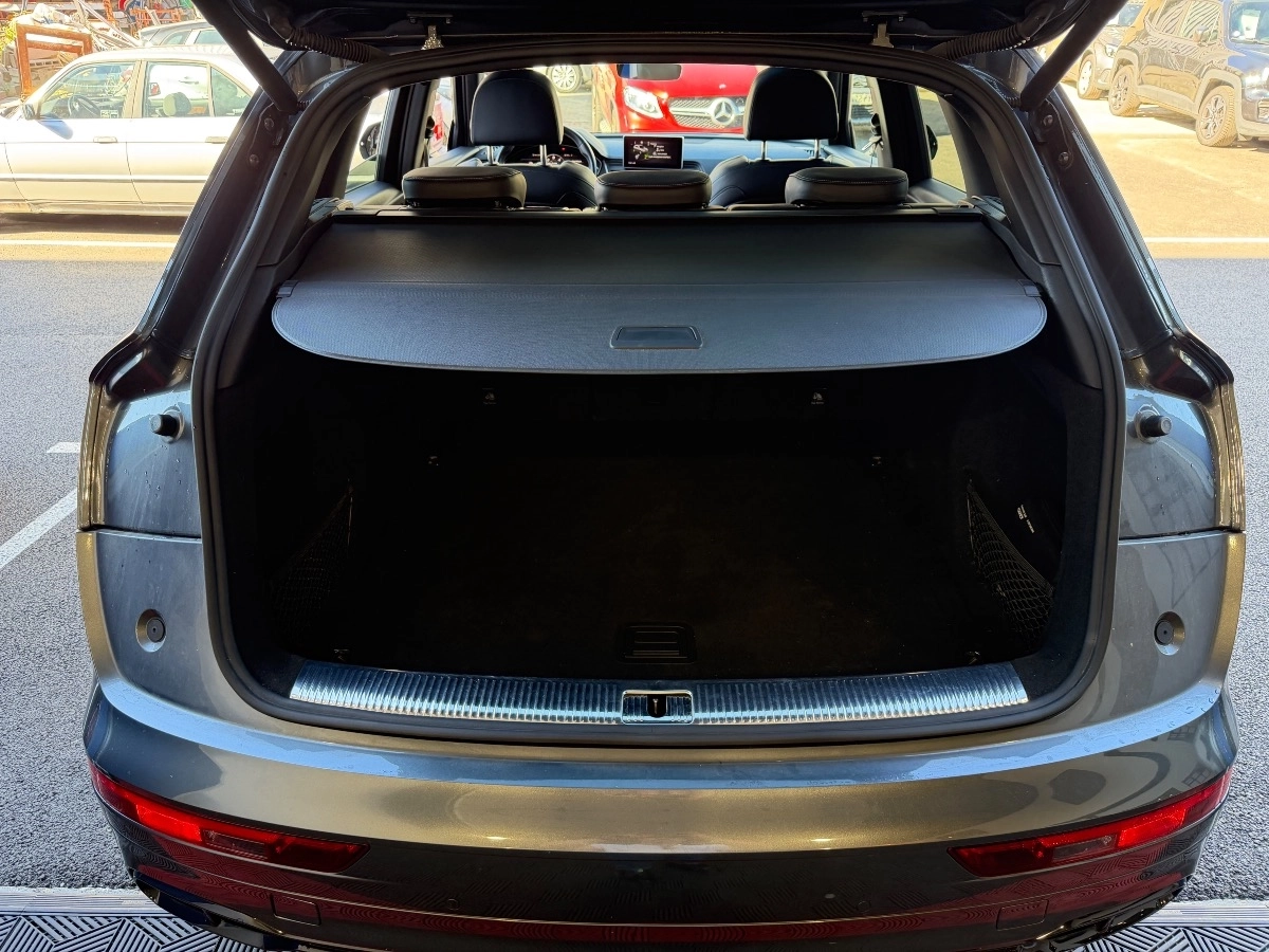 Audi Sq5 - photo 43