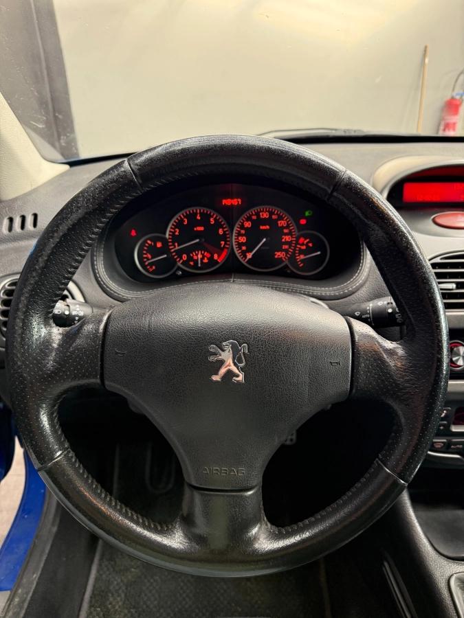 Peugeot 206 2.0 180 RC