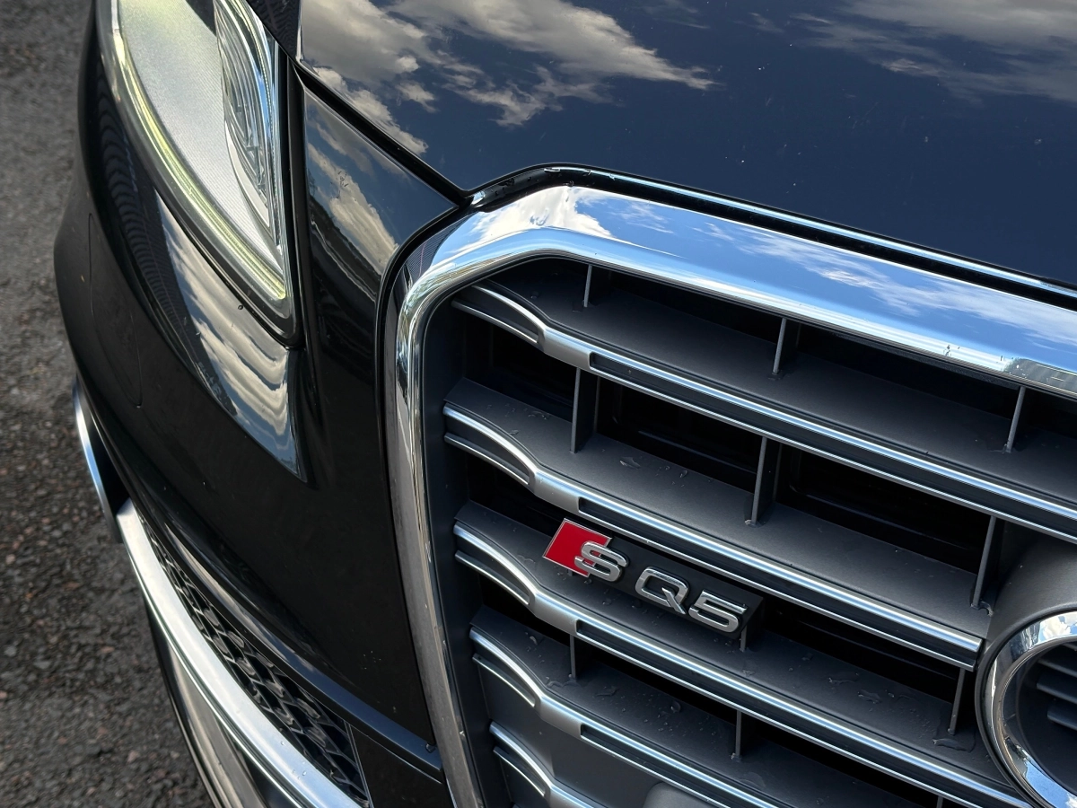 Audi Sq5 - photo 7