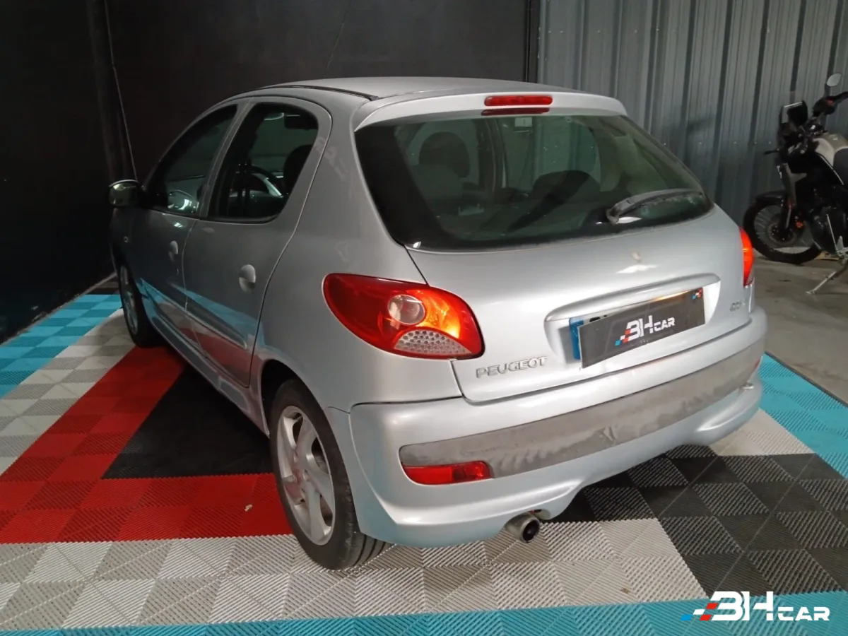 Peugeot 206 Plus - photo 10