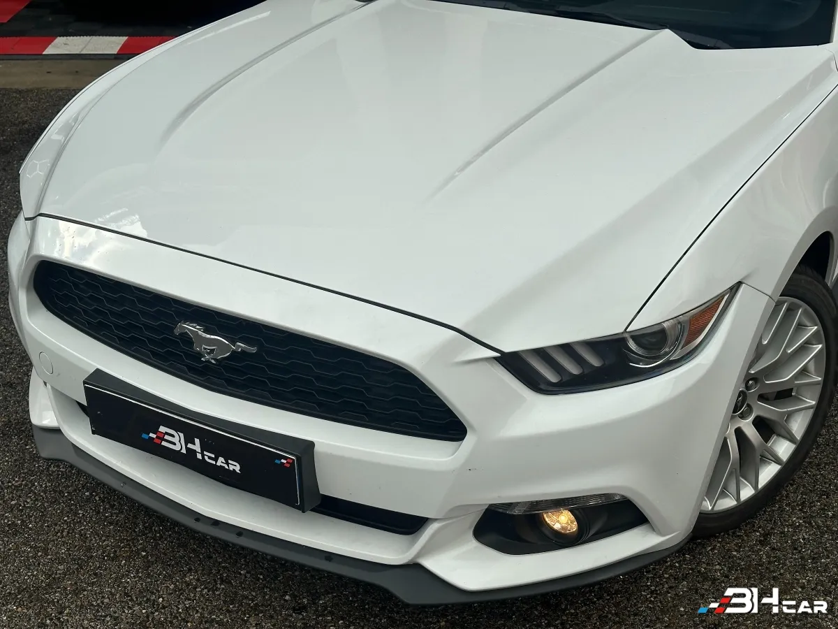 Ford Mustang - photo 2